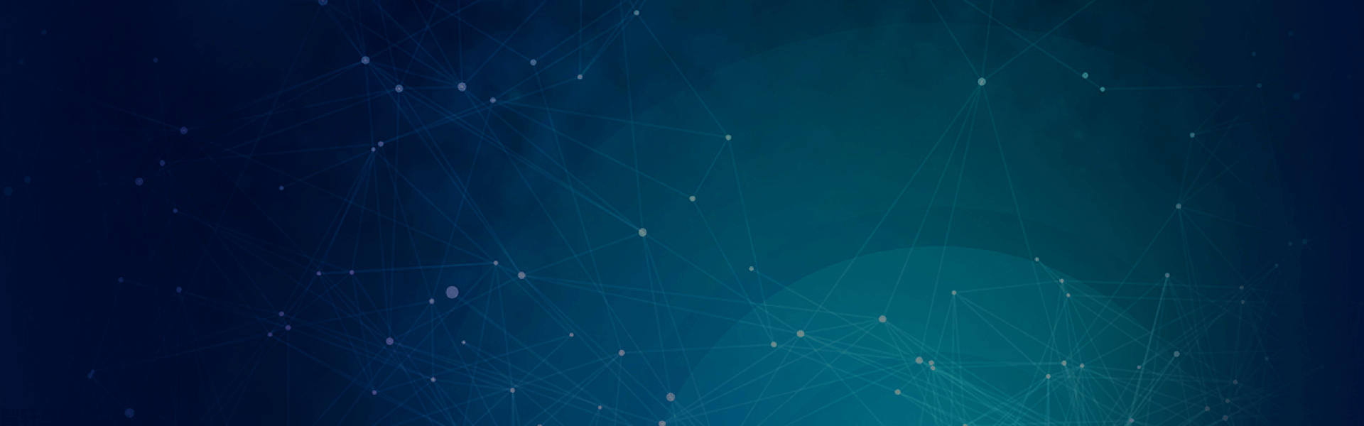 数字化转型的领先者