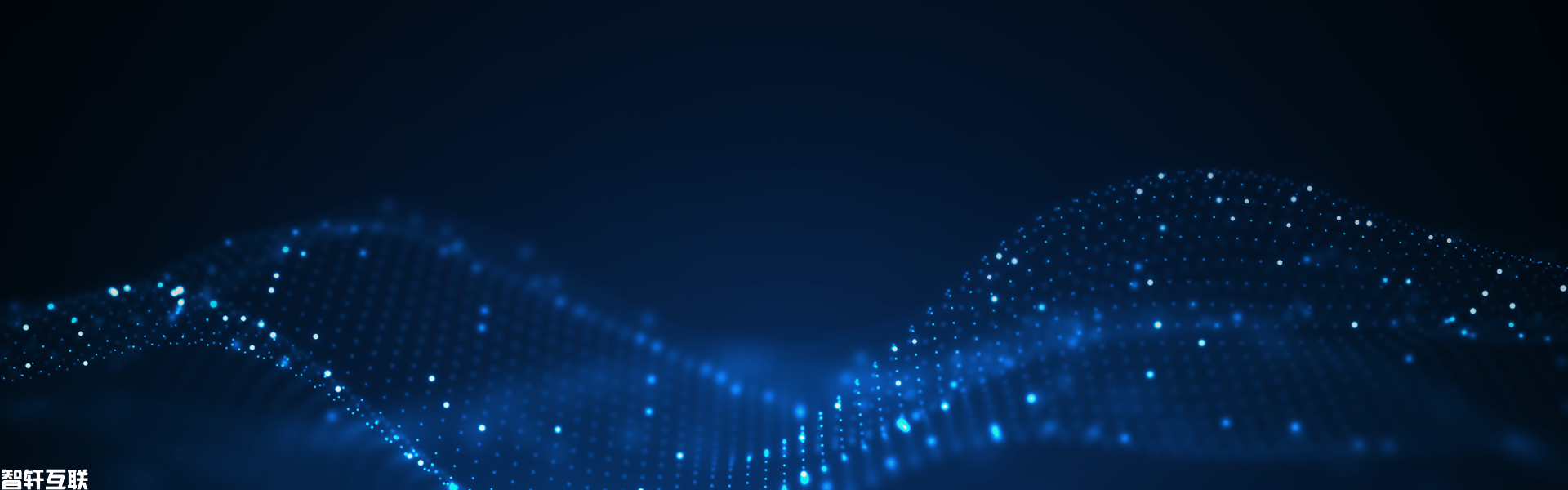 综合信息化管理系统专家