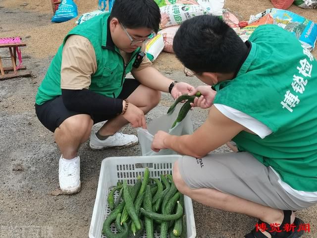  农产品抽检检测确保食品安全(图1)