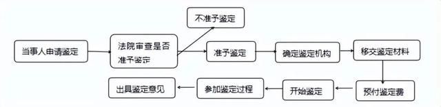  司法鉴定：解析申请及相关知识(图2)