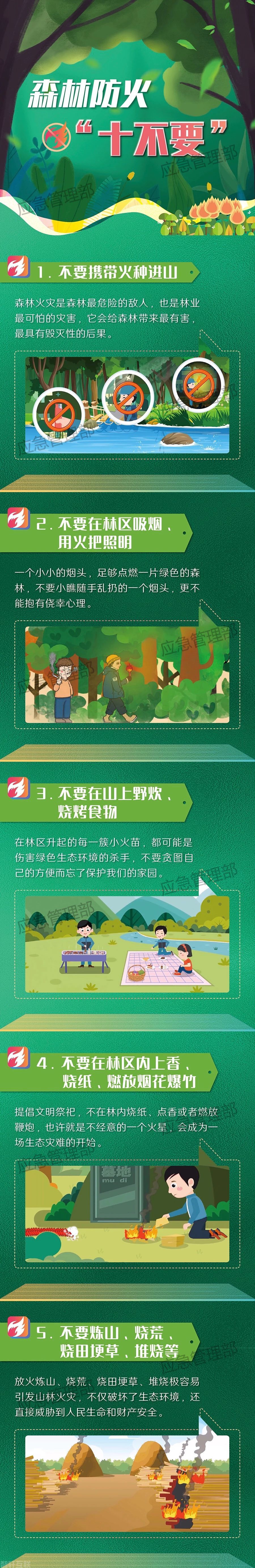  **森林火灾的危害及预防措施**(图2)