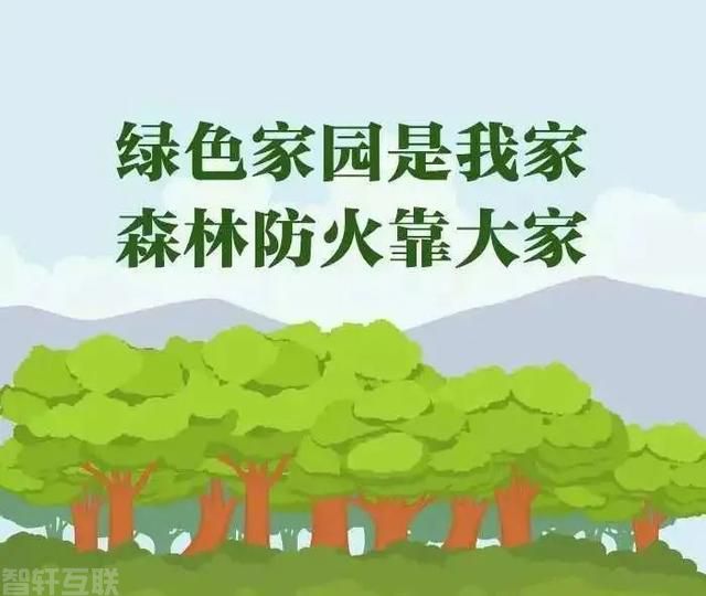  高效应对紧急情况的重要性(图2)