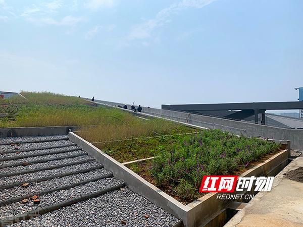  重大产业项目建设推动湘江新区高质量发展(图2)