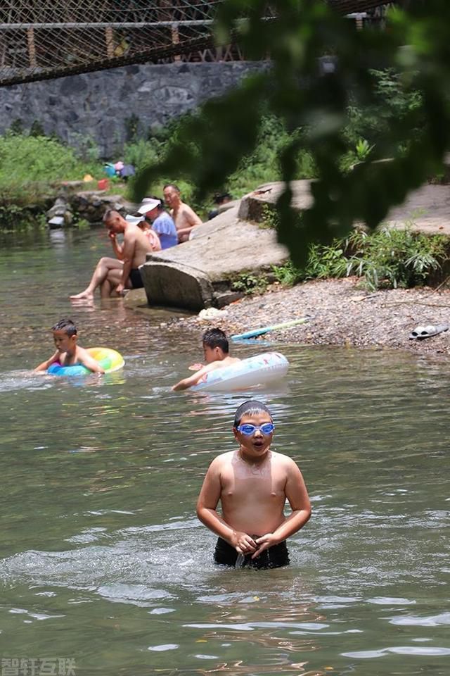  康龙自然保护区：夏日清凉胜地(图3)