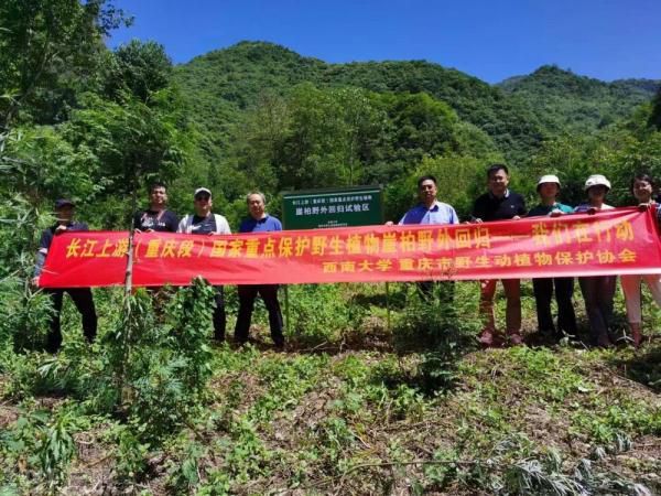  重庆大巴山国家级自然保护区与西南大学生命科学学院(图1)