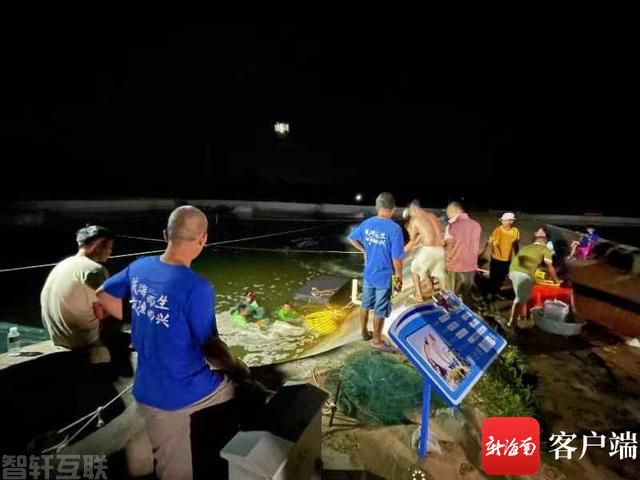  高效生态养殖 助力海南智慧渔业发展(图1)