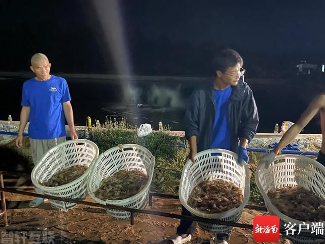  高效生态养殖 助力海南智慧渔业发展(图2)