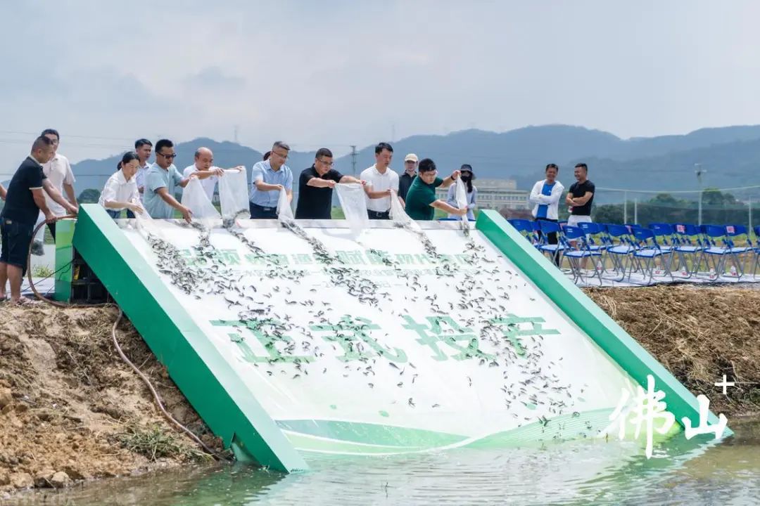  智慧渔业助力生态养殖，诚一集团华辰农业项目投产(图1)