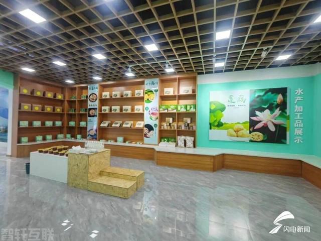  智慧化推动新湖镇生态渔业发展(图3)