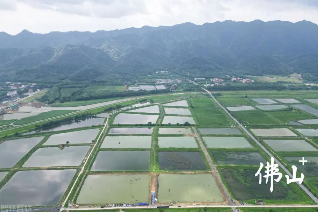  智慧渔业项目：打造粤港澳大湾区现代都市农业综合示范基地(图2)