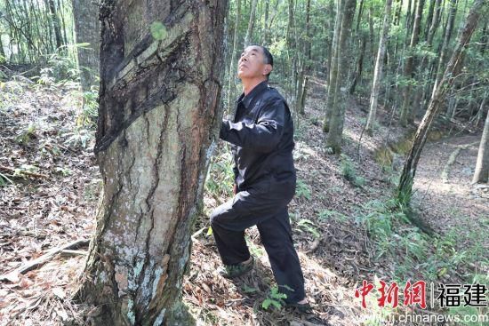  **福建省古田县凤埔乡林场助力森林保护，开展智慧林业巡护工作**(图1)