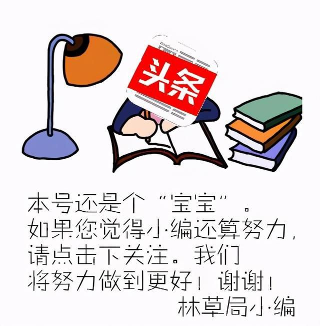 图片来源：网络(图2)