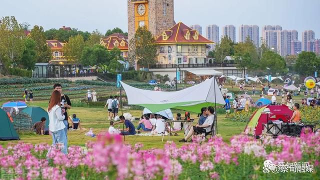  蔡甸区行政审批局协助武汉地铁集团顺利进行地铁3号线文岭站建设(图1)