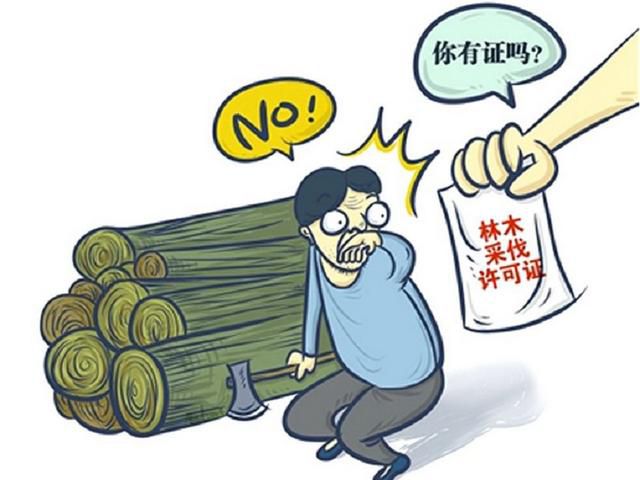  花钱买“罪”受，图啥？(图1)