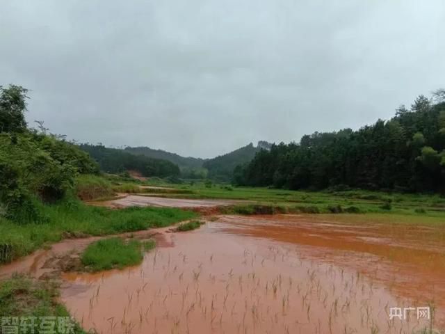  重建农田，重建生态，重建未来(图3)