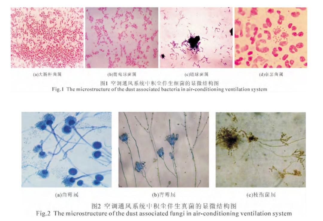  **吹空调易患“空调病”，你了解吗？**(图2)