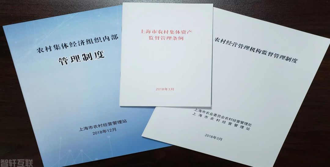  村民利益之重：农村集体“三资”监管的重要性(1)