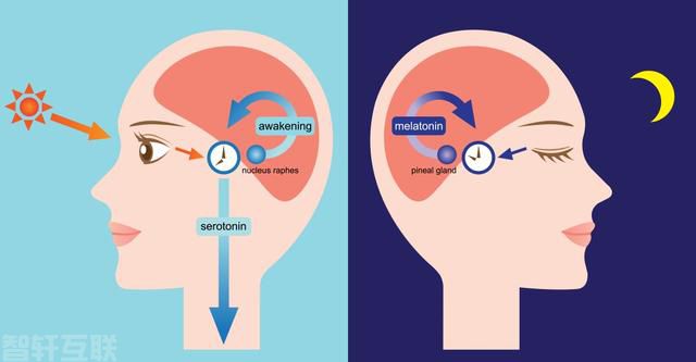  AI+节律照明，智慧照明管理系统让照明更智慧、更健康(图2)