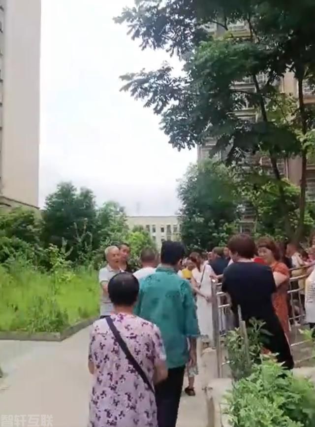  突发：南充一小区业主养牛引发争议(图2)