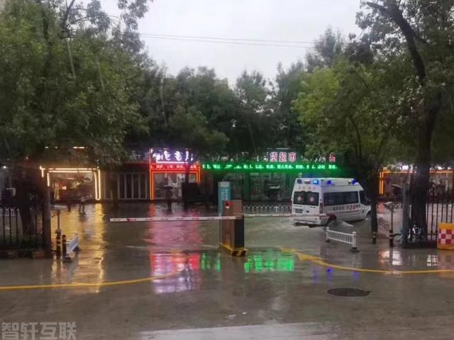  医院院前急救人员：无畏高温风雨的生命守护者(图2)