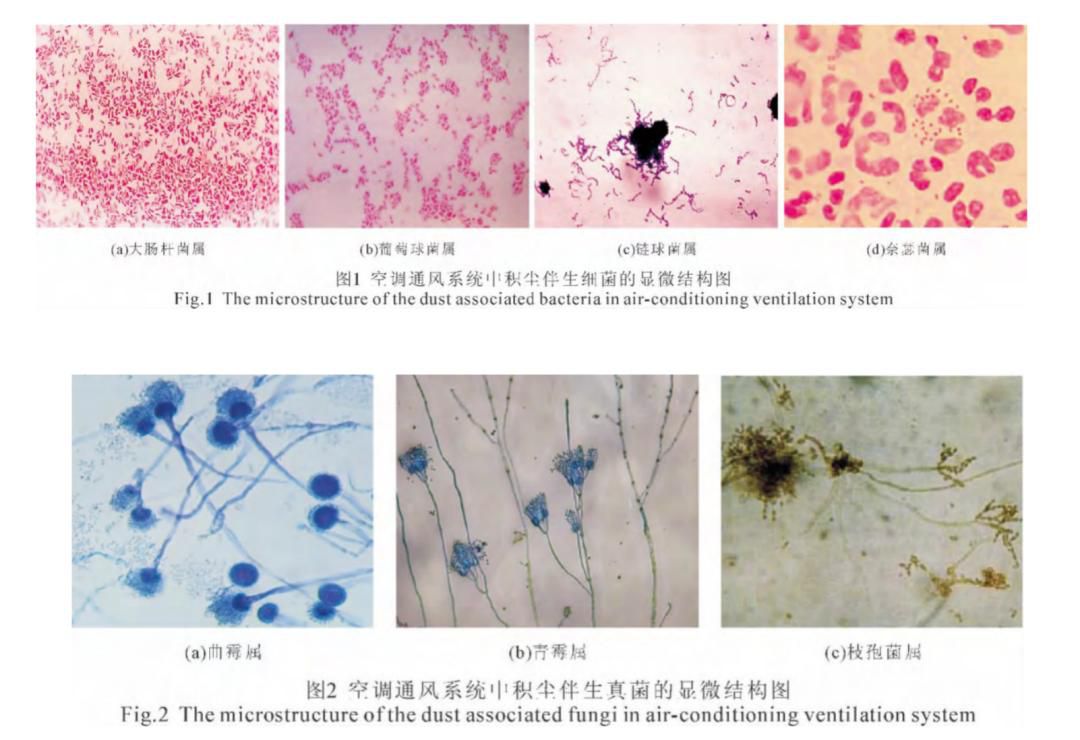  空调使用中的健康隐患(图2)