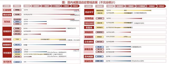  GLP-1靶点：减肥药市场的新宠(图1)