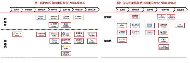  GLP-1靶点：减肥药市场的新宠(图2)