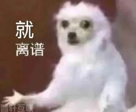  杨梅吃多了竟然会进医院？这背后隐藏的危险你可得知道(图2)