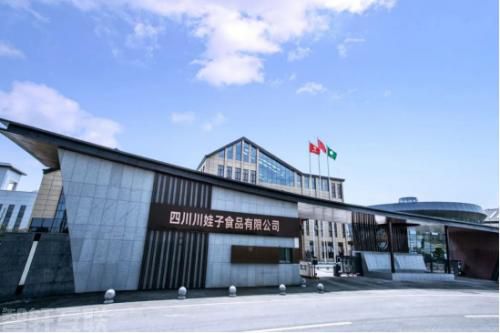  川娃子食品——一颗成长明星(图1)