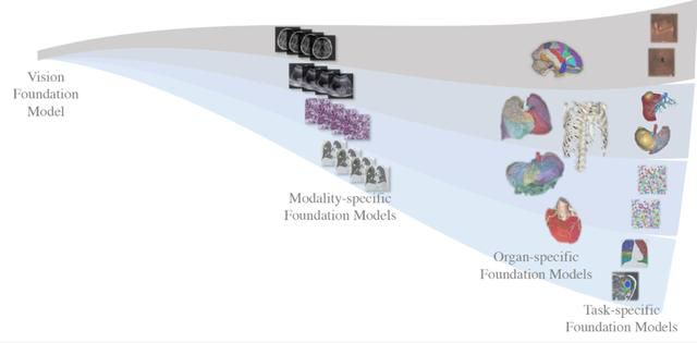  OpenMEDLab浦医：医疗领域的AI突破(图2)