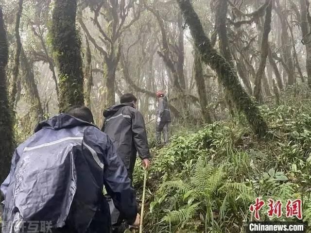  云南哀牢山地质调查事故：四名失联人员的不幸遭遇(图1)