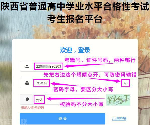  陕西省普通高中学业水平合格性考试报名流程及注意事(图2)