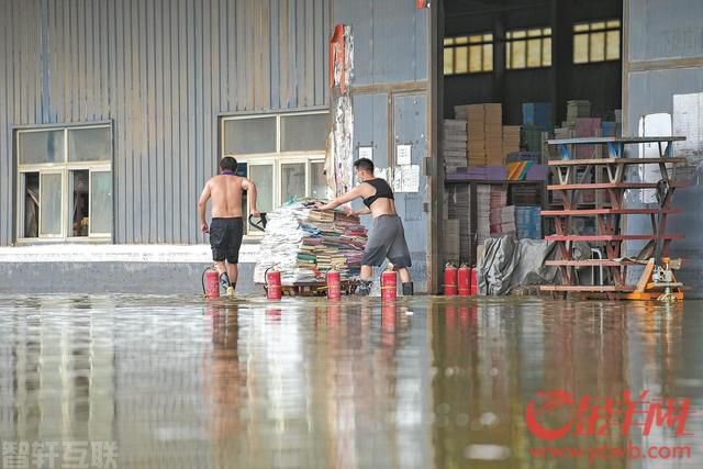 **华北暴雨致涿州图书仓库受灾：出版业重镇遭重创(图1)
