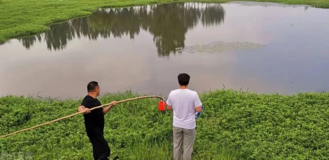  【县区动态】卧龙分局：持续排查汛期风险 保障水生(图2)