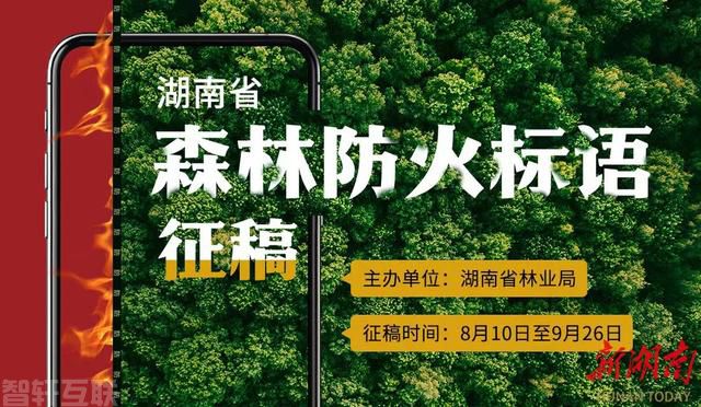  创新森林防火宣传方式，共筑森林安全(图1)