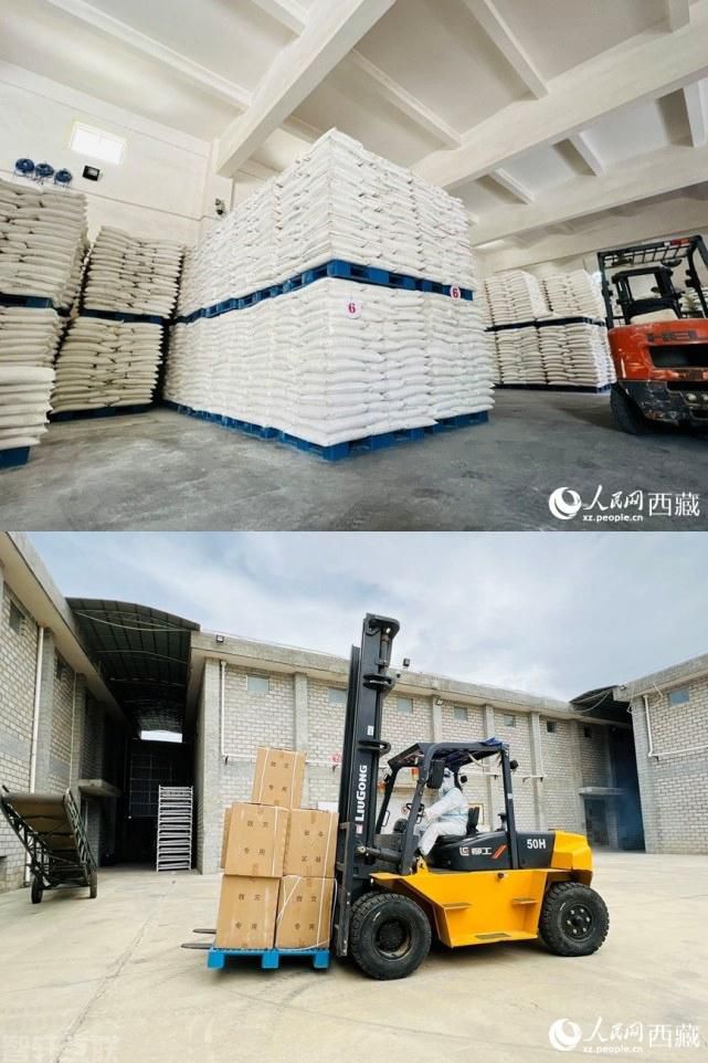  物资供应链管理系统：为西藏粮食和应急物资保障提供(图1)