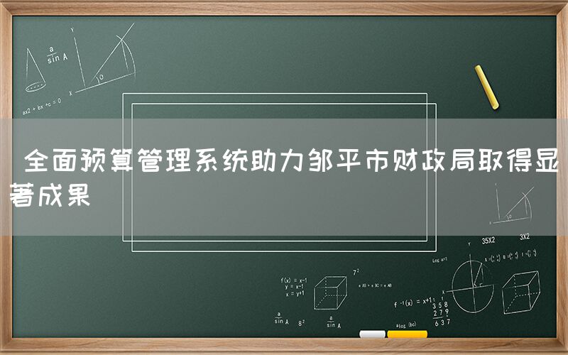  全面预算管理系统助力邹平市财政局取得显著成果(图1)