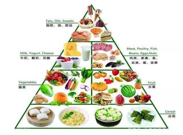  血液透析管理系统的重要性及护理要点(图4)