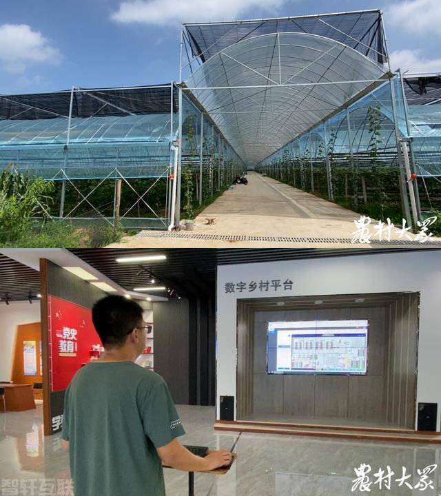  智慧党建系统：打造现代化农业与数字化党建的完美结(图1)