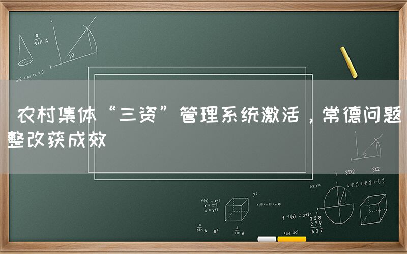  农村集体“三资”管理系统激活，常德问题整改获成效(图1)